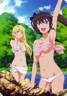 Is It Wrong to Try to Pick Up Girls in a Dungeon? II: Is It Wrong to Go Searching for Herbs on a Deserted Island?